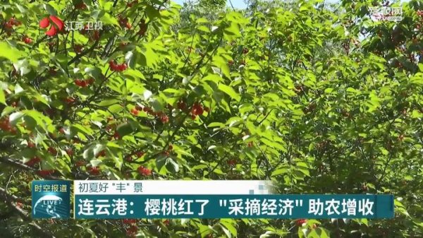 倍悦网配资 初夏好“丰”景