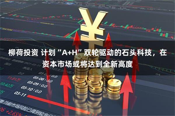 柳荷投资 计划“A+H”双轮驱动的石头科技，在资本市场或将达到全新高度