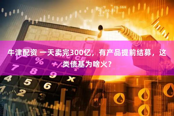 牛津配资 一天卖完300亿，有产品提前结募，这类债基为啥火？