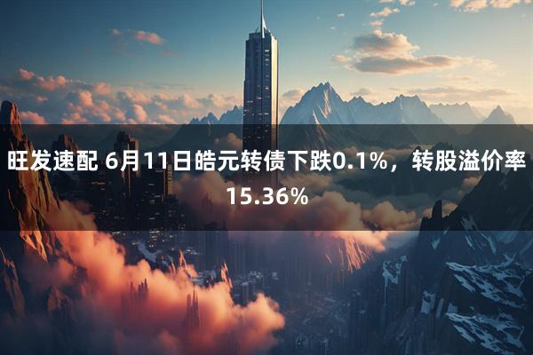 旺发速配 6月11日皓元转债下跌0.1%，转股溢价率15.36%